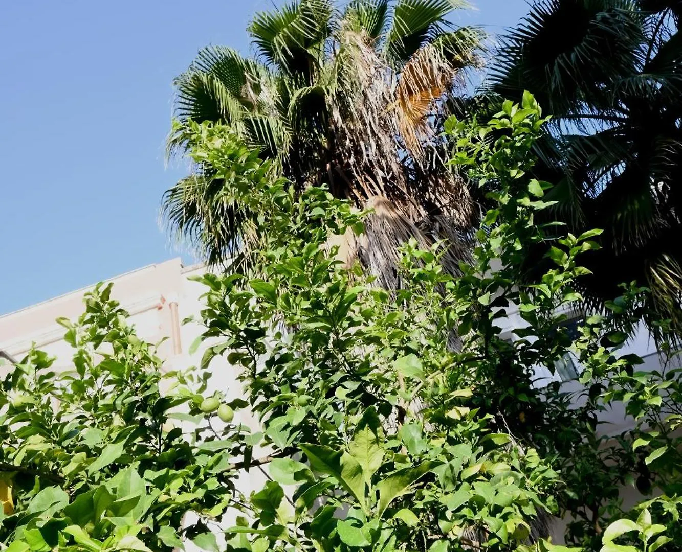 Fatata Suites Lecce Apartmán